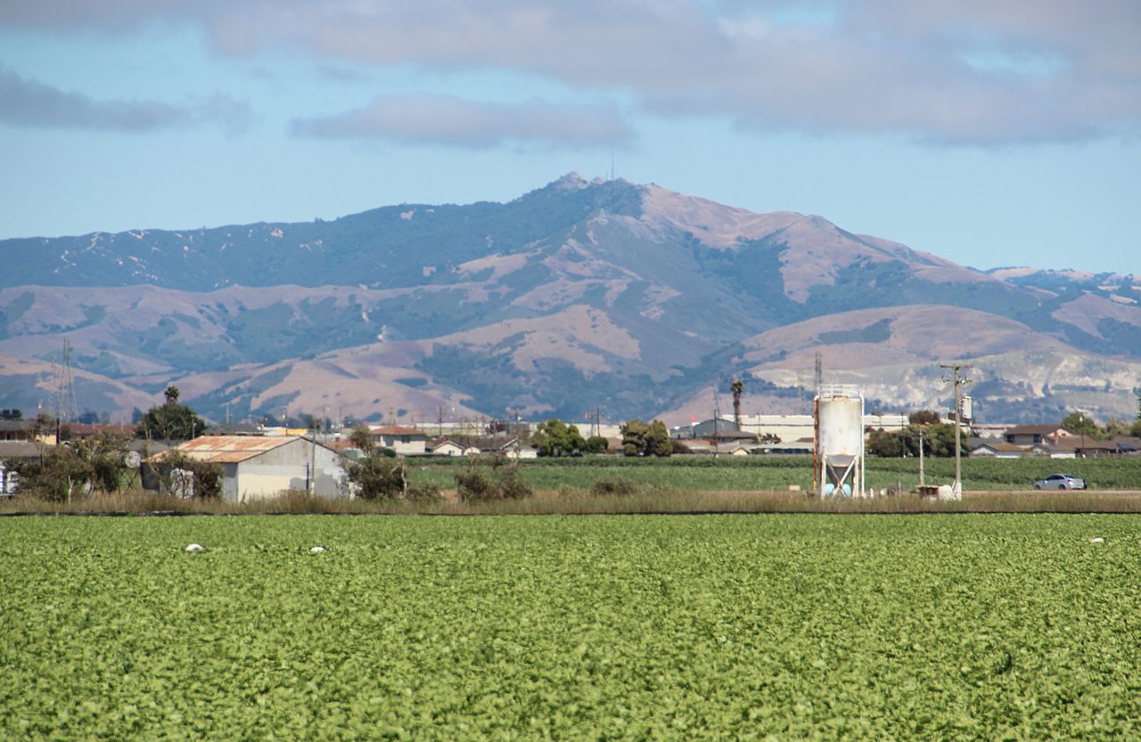 California farmland