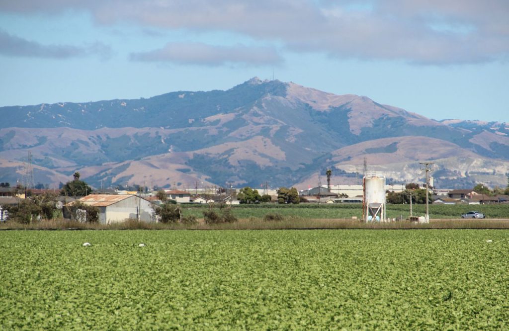 A view of farmland in California with mountains in the background.
